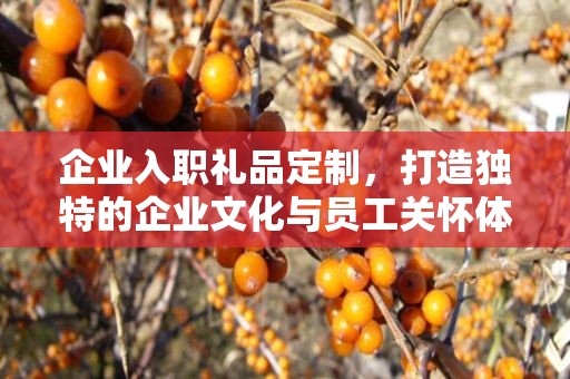 企业入职礼品定制，打造独特的企业文化与员工关怀体验